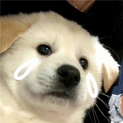 Phạm Thị Nương avatar