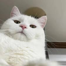 Nguyễn Thị Hương avatar